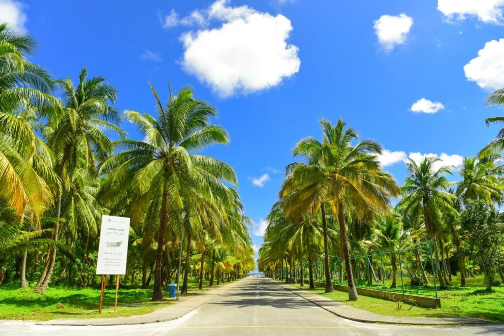 tropical road with paint markings